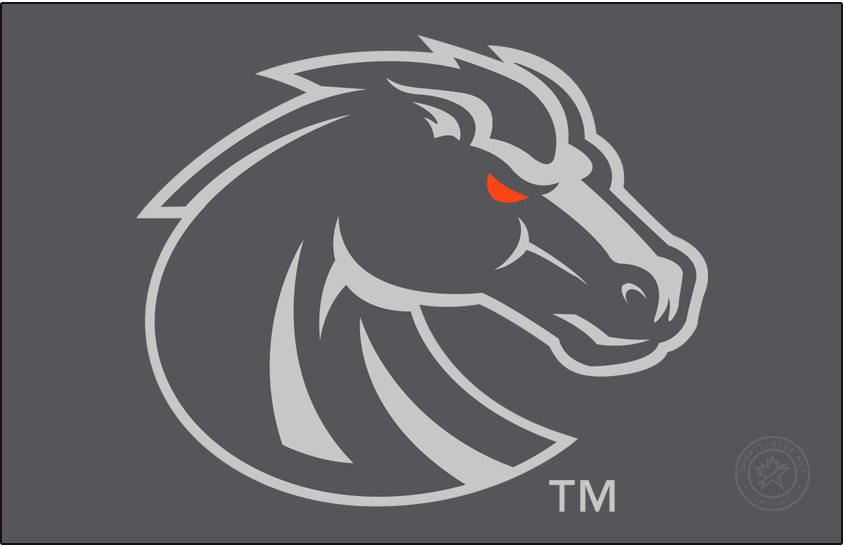 Boise State Broncos 2013-Pres Secondary Logo iron on transfers for T-shirts